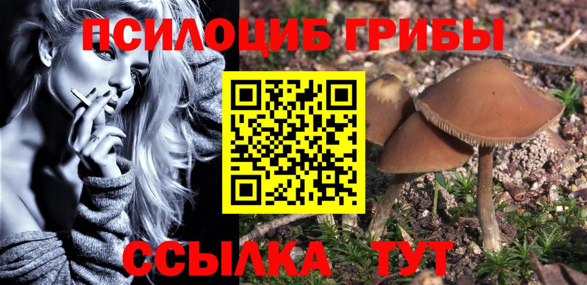 Псилоцибиновые грибы Magic Shrooms Татарск