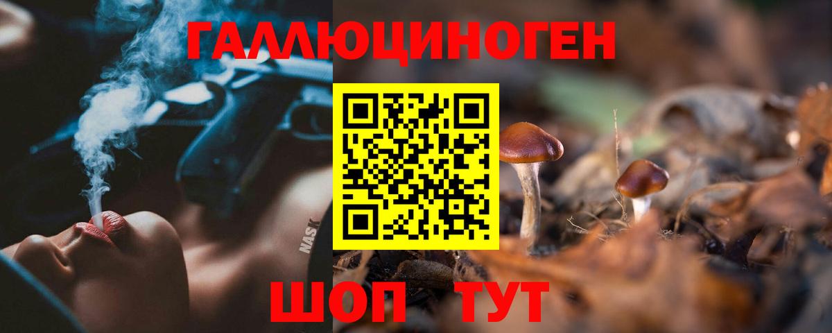 Галлюциногенные грибы GOLDEN TEACHER  Вход с VPN  Татарск 
